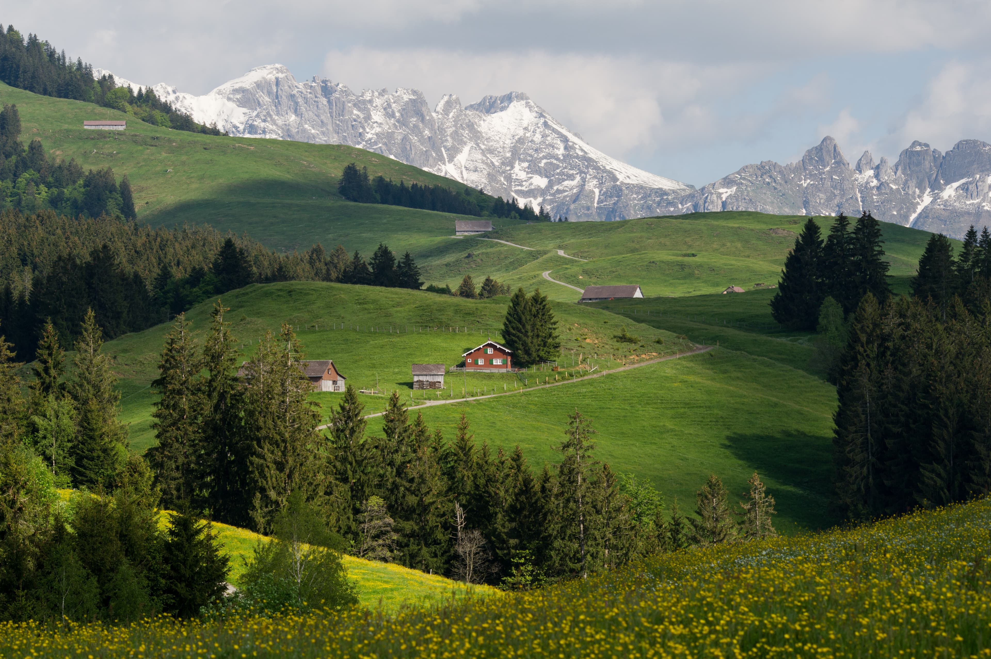 Aguas Termales & Geiser